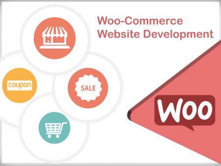 Professional Woo-Commerce Website Development